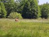 Szlak Pojezierny Południowy od Wielopla do Sękowa