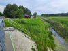 Miejsce piknikowe przy Rowie Więziennym – Szcześniki
